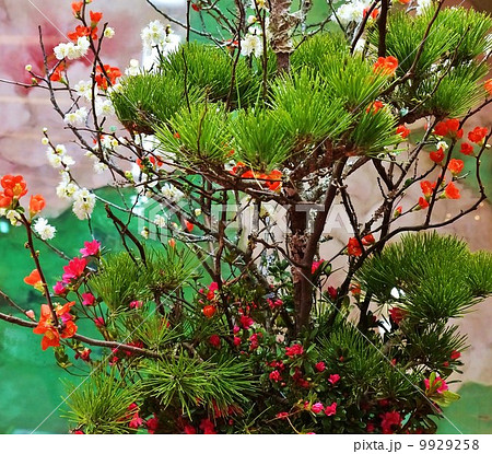 年賀状素材・春を呼ぶ松の正月生け花・正方形 9929258