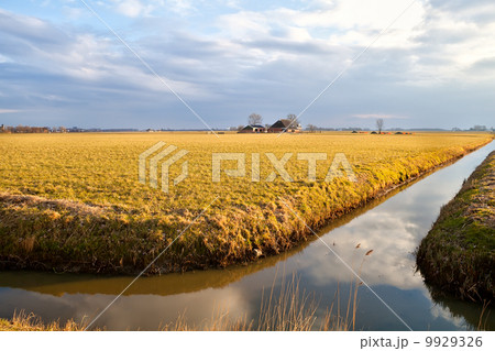 Dutch farm by river before sunset 9929326