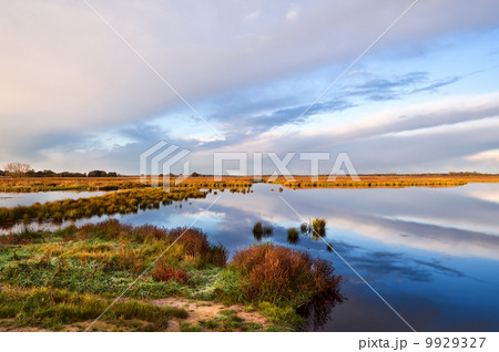 cloudscape over swamp at sunrise cloudscape over swamp at sunrise 9929327