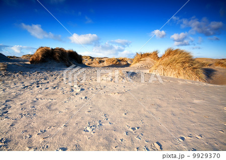 sand dunes on beach in Ijmuiden, Holland sand dunes on beach in Ijmuiden, Holland 9929370