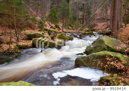 fast mountain river in forest 9929414