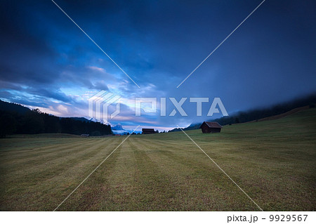 foggy sunrise over alpine meadow 9929567