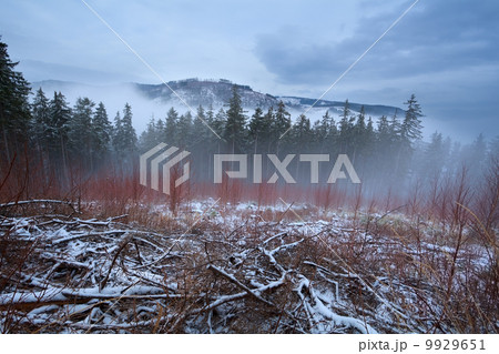 Harz mountains during misty winter day 9929651