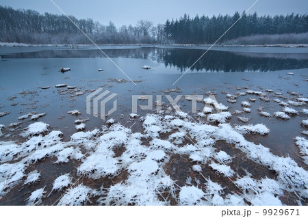 frozen wild lake in forest 9929671