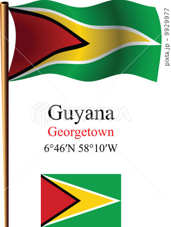 guyana wavy flag and coordinates 9929977