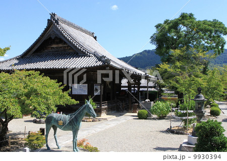 奈良県明日香村にある「橘寺の本堂」 9930394