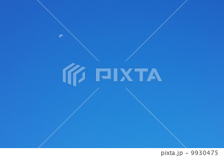 昼間の月 9930475