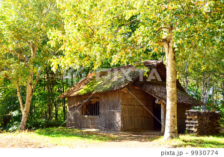 開拓(開墾)小屋 開拓(開墾)小屋 9930774