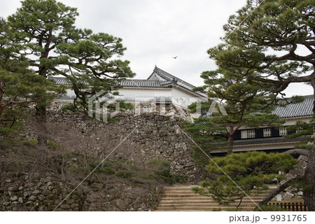 高知城 懐徳館 詰門 重要文化財 三の丸広場から 高知城 懐徳館 詰門 重要文化財 三の丸広場から 9931765