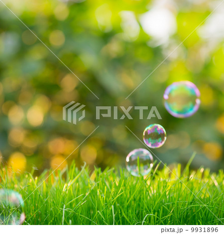 Green grass 9931896