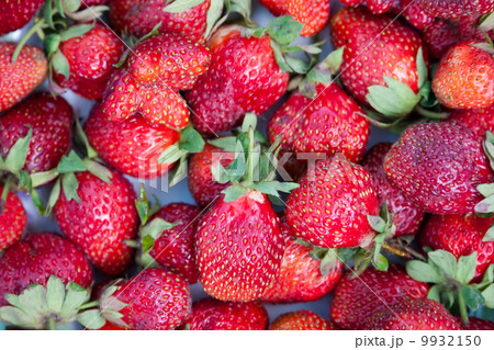 Fresh ripe strawberry Fresh ripe strawberry 9932150