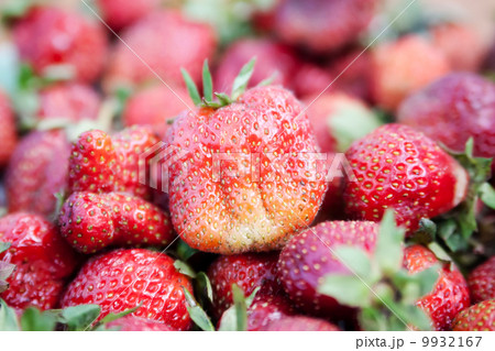 Fresh ripe strawberry 9932167