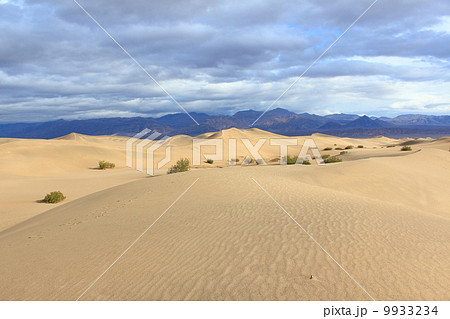 雨上がりのデスバレー国立公園 雨上がりのデスバレー国立公園 9933234