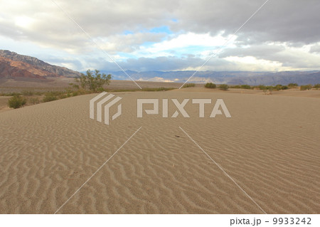 雨上がりのデスバレー国立公園 雨上がりのデスバレー国立公園 9933242
