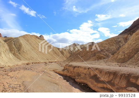 デスバレー国立公園のゴールデンキャ二オン デスバレー国立公園のゴールデンキャ二オン 9933528