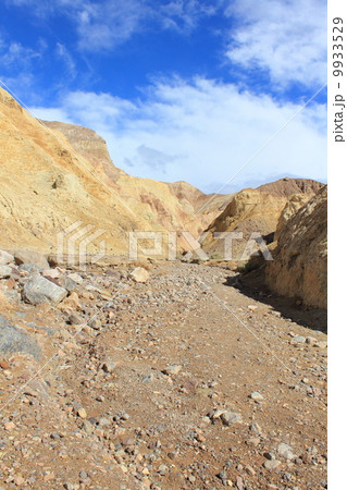 デスバレー国立公園のゴールデンキャ二オン デスバレー国立公園のゴールデンキャ二オン 9933529