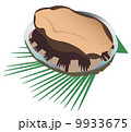 活きアワビ 9933675