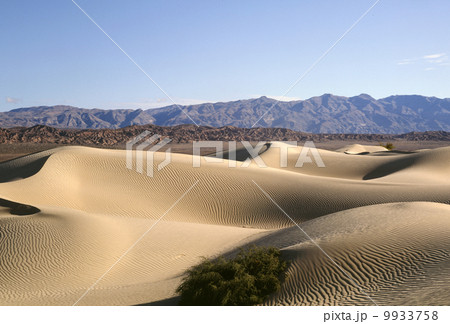 デスバレーの砂丘 9933758