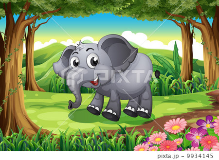 A smiling elephant at the forest A smiling elephant at the forest 9934145