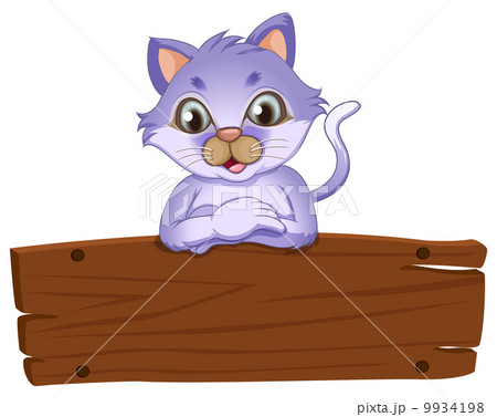 A wooden signboard with a friendly cat A wooden signboard with a friendly cat 9934198