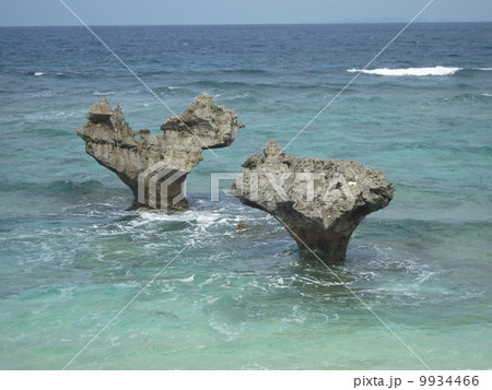 ハートロック 9934466