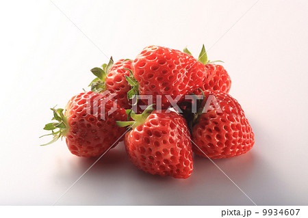 越後姫 越後姫 9934607