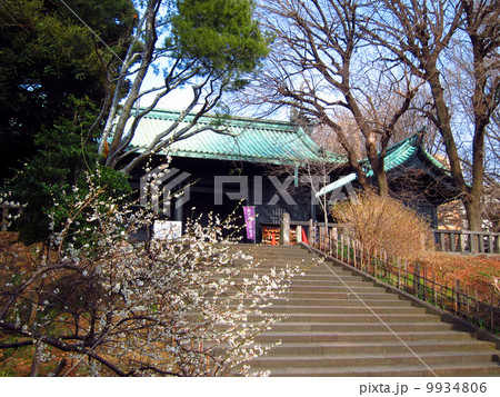 湯島聖堂杏壇門 9934806