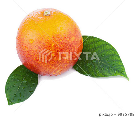 Blood orange with green leaves isolated on white background. 9935788