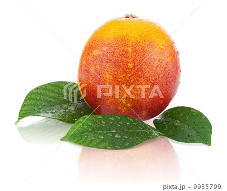 Blood orange with green leaves isolated on white background. Blood orange with green leaves isolated on white background. 9935799