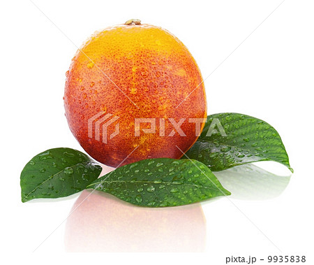 Ripe red blood oranges with green leaves isolated on white backg 9935838