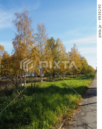 park 9936240