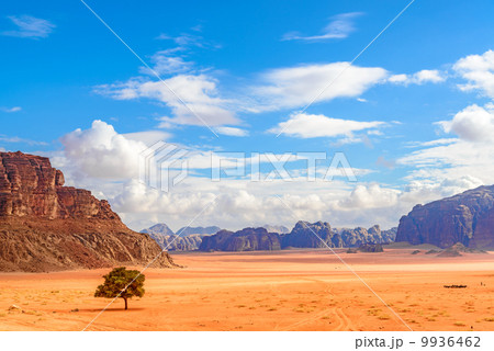 ヨルダンの砂漠(ワディ・ラム、ロレンスの泉より) 9936462