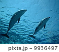 ゆうが～！ 9936497