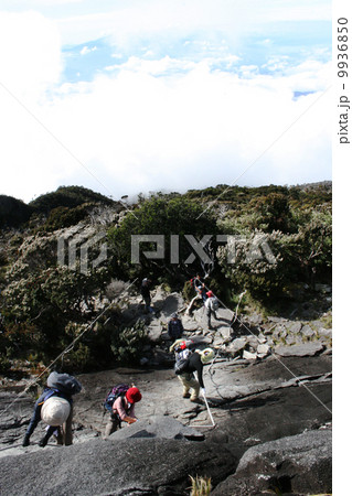 キナバル登山 9936850