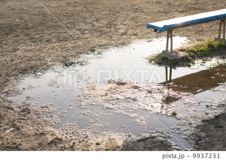 雨上がりのグラウンド 雨上がりのグラウンド 9937231