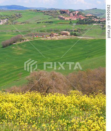 Italy. Val D'Orcia valley. Tuscany landscape Italy. Val D'Orcia valley. Tuscany landscape 9940082