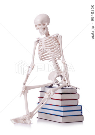 Skeleton reading books on white Skeleton reading books on white 9940250