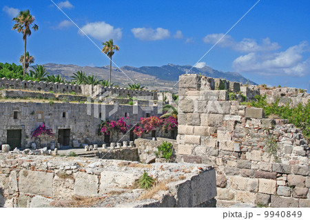 Greece. Kos island. The castle 9940849