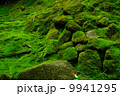 苔の生すまで 9941295