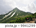 利尻富士 9941299