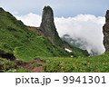 利尻富士ローソク岩 9941301