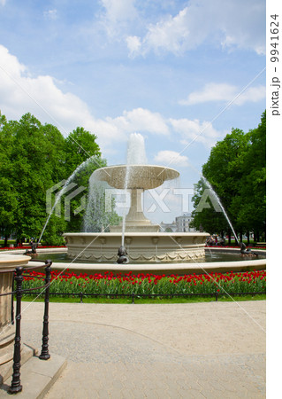 Saski park, Warsaw 9941624