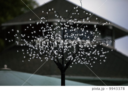 The modern street light. Led tree lighting decoration. The modern street light. Led tree lighting decoration. 9943378