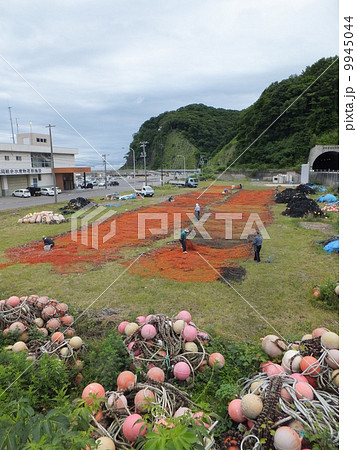 漁網 漁網 9945044