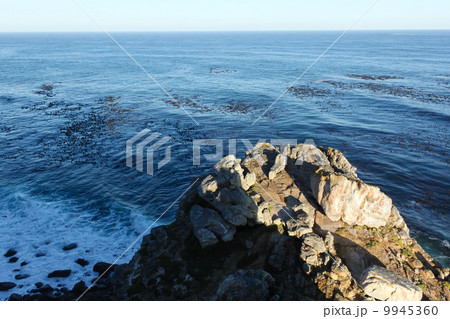 喜望峰の突端 喜望峰の突端 9945360