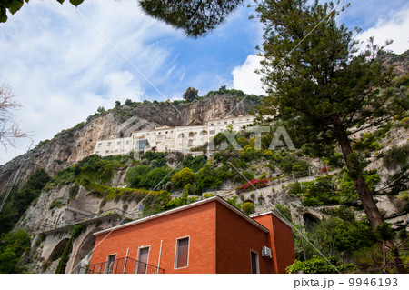 アマルフィ 9946193