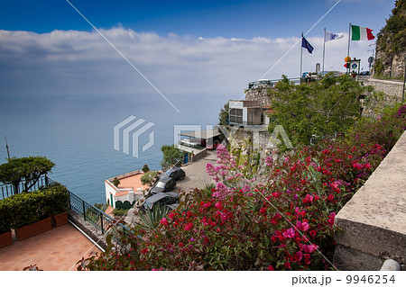 アマルフィ 9946254