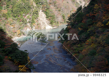 寸又峡・夢の吊橋 9946325