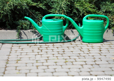 Watering green can and hose in garden Watering green can and hose in garden 9947490