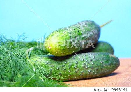 bunch fresh dill and cucumbers on wooden table bunch fresh dill and cucumbers on wooden table 9948141